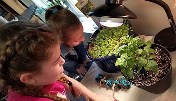 Grants Support Students Learning Agriculture