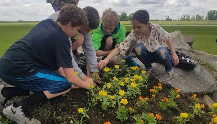 Grants Available to Help Teach Agriculture