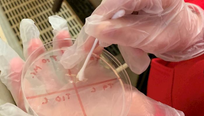 2020 Partnership Hopes to Advance Student Led Research in Pork