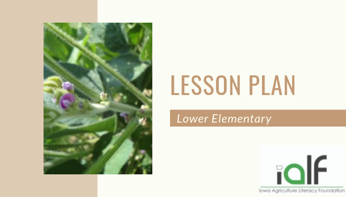 Pollination Simulation