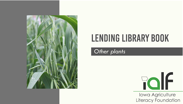 Plants as Food, Fuel, and Medicine