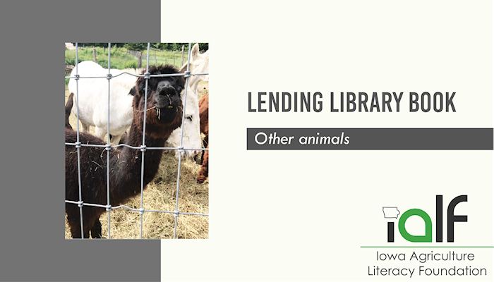 Farm Animals (Let's See Library)