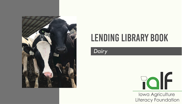 Clarabelle; Making Milk and So Much More