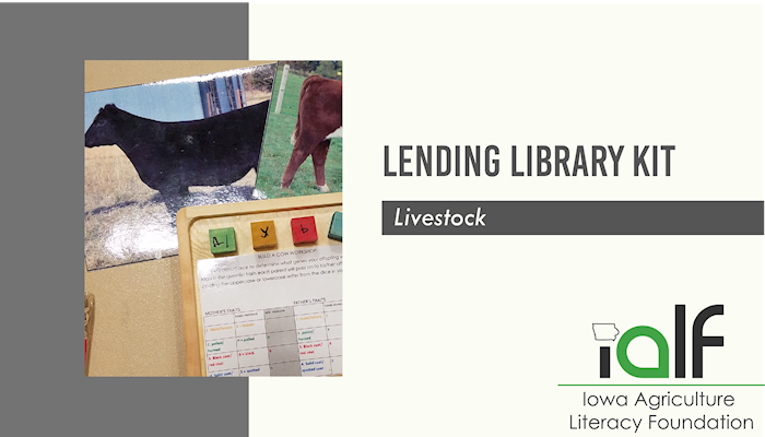 Chicken Life Cycle Exploration Set