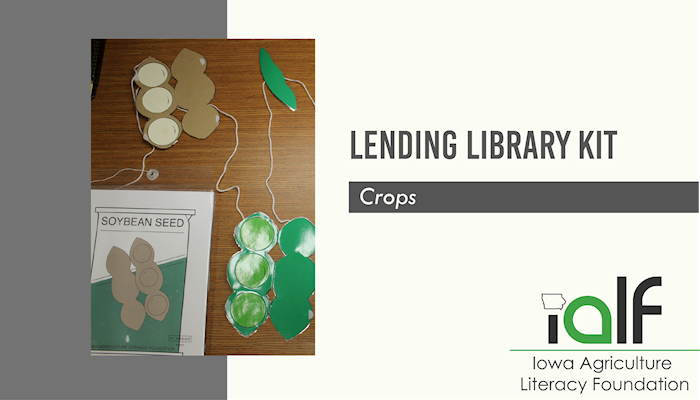 Seed Classifications