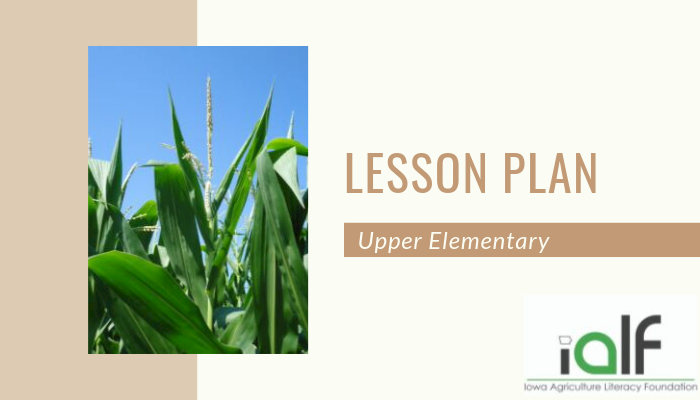 An Irrigation Investigation