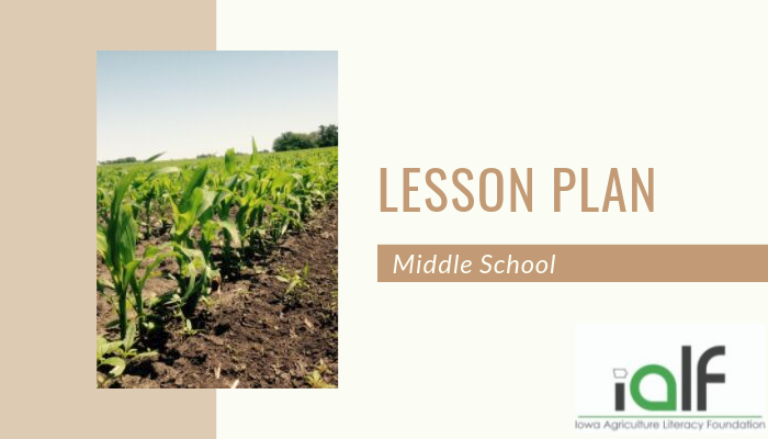 A Bushel of Stories, Lesson 3 – Real Writing, middle school