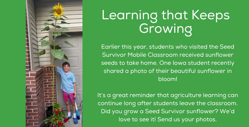 Learning that Keeps Growing