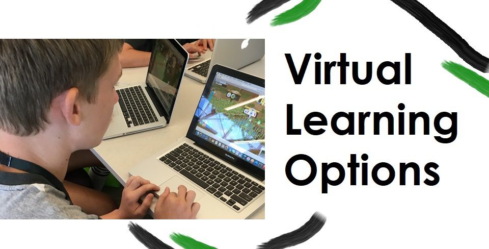 Virtual Learning Options